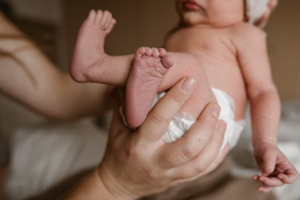 Newbornshoot Rijkevoort, Boxmeer Haps, Nijmegen, Sint Anthonis