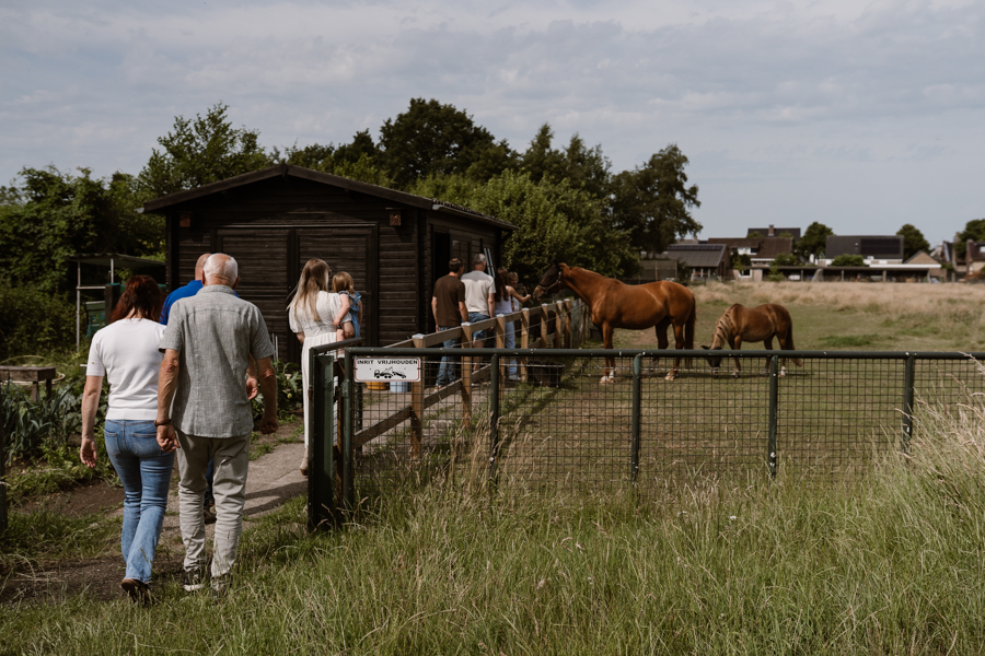 Familie loopt samen naar het landje tijdens de familieshoot