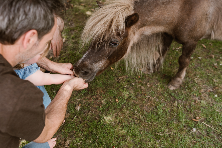 Kindje aait het paard in de wei tijdens een gezinsfotoshoot aan huis in Land van Cuijk.