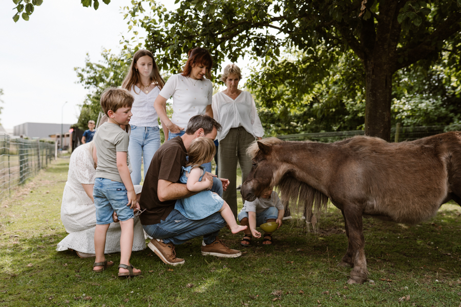 Kleinkinderen bij kippen en pony’s op het landje tijdens de familieshoot